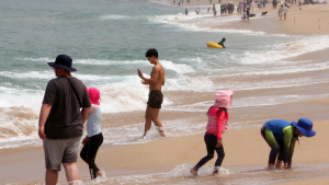 시원한 해변