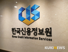 신용정보원, 보험신용정보 표본DB 개발…8월부터 제공