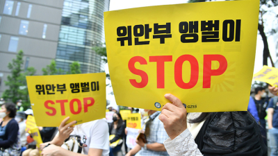 보수단체, 손에 든 '위안부 앵벌이 STOP' 피켓