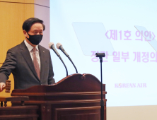 대한항공, 임시 주주총회 열려