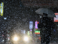 역대급 추위에...전력수요도 역대 최대치 기록 