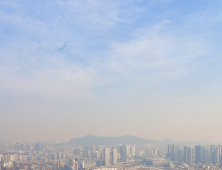 북극 한파 물러난 자리 차지한 초미세먼지