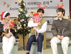 U+아이돌Live, 반려동물 입양 권장 예능 ‘아이돌 소개팅’ 19일 공개