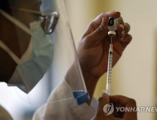 남아공 변이 바이러스, 기존 백신이 안들수도