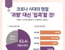 직장인 10명 중 6명 설 연휴에 고향 안가고 집콕