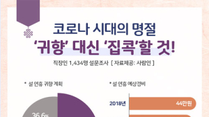 직장인 10명 중 6명 설 연휴에 고향 안가고 집콕