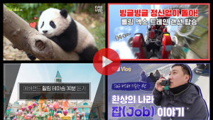 에버랜드, 유튜브 구독자 50만 돌파…‘구독자 애칭' 공모 진행