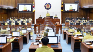 제멋대로 지방의회… '감시 사각'에도 국회는 권한 강화만