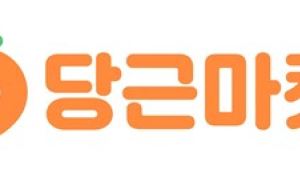 공정위 전자상거래법 개정안에 불똥 튄 '당근마켓 '