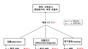 한국인 췌장암 진료 가이드라인 최초 제정
