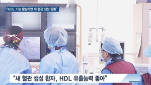[쿠키건강뉴스] “HDL 콜레스테롤 ‘유출 기능’ 활발하면 새 혈관 생성 원활”