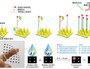 세계최초 '30분 이내' 호흡기 병원체 검출 기술 개발