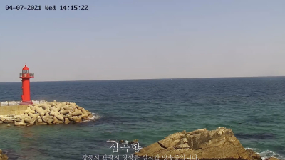 [강릉 단신]