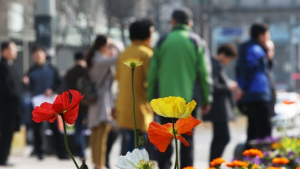 “4월 초부터 에어컨 인기”...수영복‧참외 여름상품 조기등판