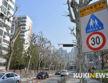 전국 도시 일반도로 시속 50㎞ 제한, 17일부터 시행
