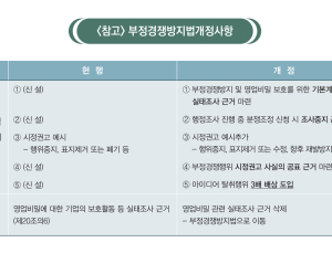 아이디어 도용하면 손해액의 최대 3배 배상 책임