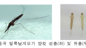 말라리아 5~10월 유행...