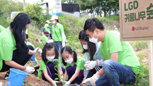 LG디스플레이, 민통선에 생태숲 복원 추진…ESG 경영 강화