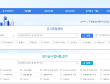금감원, 전자공시 'DART' 이용자 편의성 강화