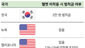 전동 킥보드 헬맷 착용 의무화…업계 “헬멧 규제 풀어달라” 호소