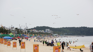 [포토] 대천해수욕장, 개장 첫날 6만 6천여 명 피서객 몰려
