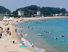 '서퍼들의 천국' 동해안 해수욕장 개장