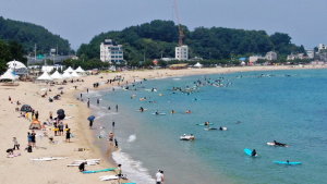 '서퍼들의 천국' 동해안 해수욕장 개장 