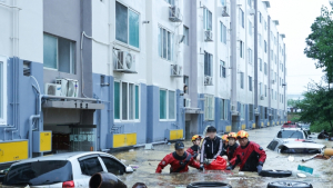 대전 서구 정림동 수해지역, 항구적 대책 마련한다