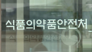 “밀면·김밥집 식중독, 살모넬라균 관리 미흡해 발생”