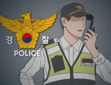 성남 분당경찰서, 수면마취 덜 깬 상태로 운전한 운전자 입건