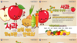 사과를 감·배 등 다른 과일 함께 보관하면 망가지는 이유