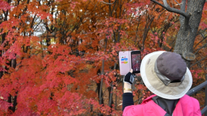 가을산행 뒤 무릎 통증?… 꼭 알아야 할 5가지 사실