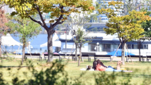 [오늘 날씨] 전국 맑다가 흐림…내륙 짙은 안개 