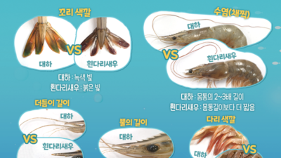 가을철 별미 대하, ‘자연산’ ‘양식’ 어떻게 구별할까