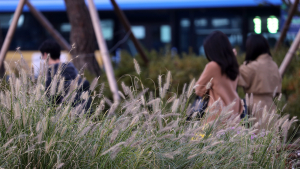 아침은 쌀쌀…내륙 중심 일교차 10~15도