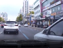 대전경찰청, 차량이용 보험사기범 64명 검거
