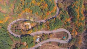 해발 1,013m 가을 맞은 구룡령 [드론으로 본 풍경] 
