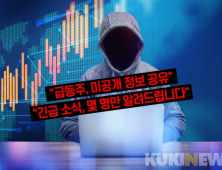 주식리딩방, 더 교묘해진 수법…민원도 지난해 2배