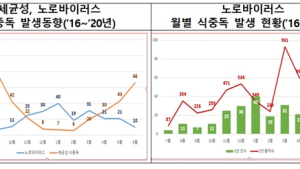 11월~3월 '노로바이러스 식중독' 발생 ↑…구토물·손으로 전파