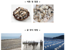 바다의 우유 '굴'…노로바이러스 식중독 피하려면?