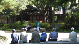 65세 이상 노인 절반 가까이 연금 받는다...연 평균 710만원