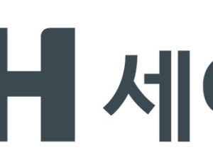 세아베스틸, 지주사 전환 결정
