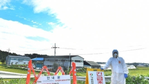 충북 진천 고병원성 AI 확진, 화성서는 의심축 확인