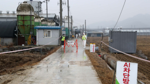 충남 천안 풍세면 보성리 산란계농장서 조류인플루엔자(AI) 발생