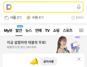 카카오, 다음 모바일에 카카오뷰 도입