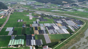 산청군, 새해 농업소득증대 지원사업 25억원 투입 [서부경남]