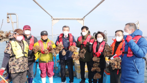 충남 보령 대표 수산물 명품 천북굴 양식 현대화 ‘착착’