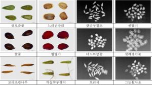 한국수목원정원관리원, 지난해 자생식물 748종 종자정보 빅데이터 구축 