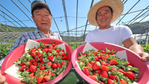 산청군, 71억원 규모 농업발전기금 융자지원 [산청소식]