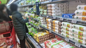 고물가에 아이스크림 담합? 정부, 업계 최대 과징금 ‘철퇴’